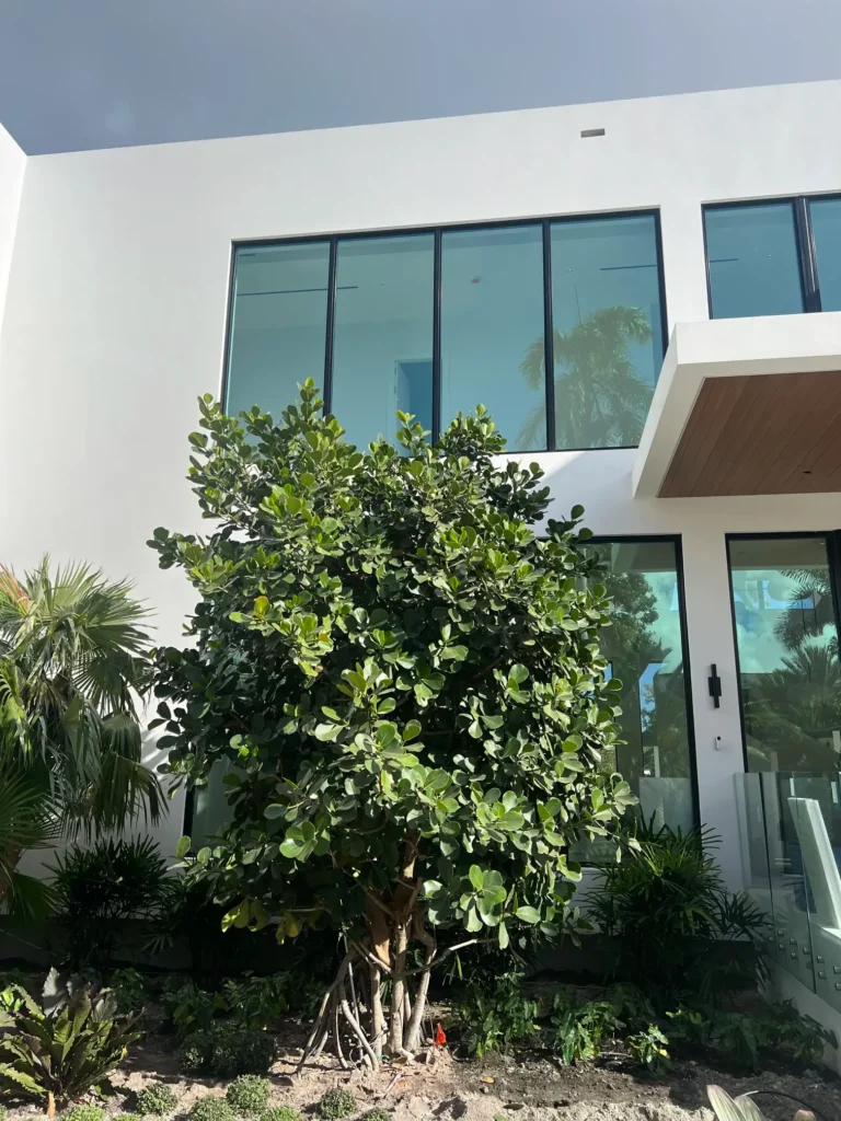 custom glass balconies, our work ,